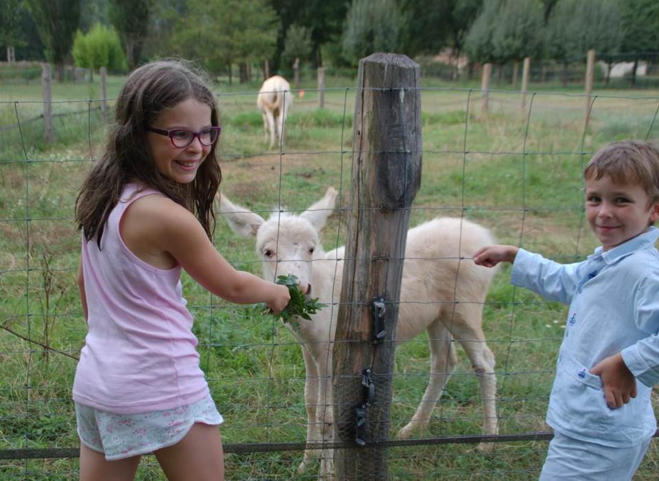 Enfants avec les animaux de la mini-ferme