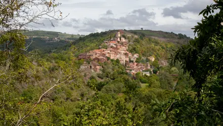 Combret