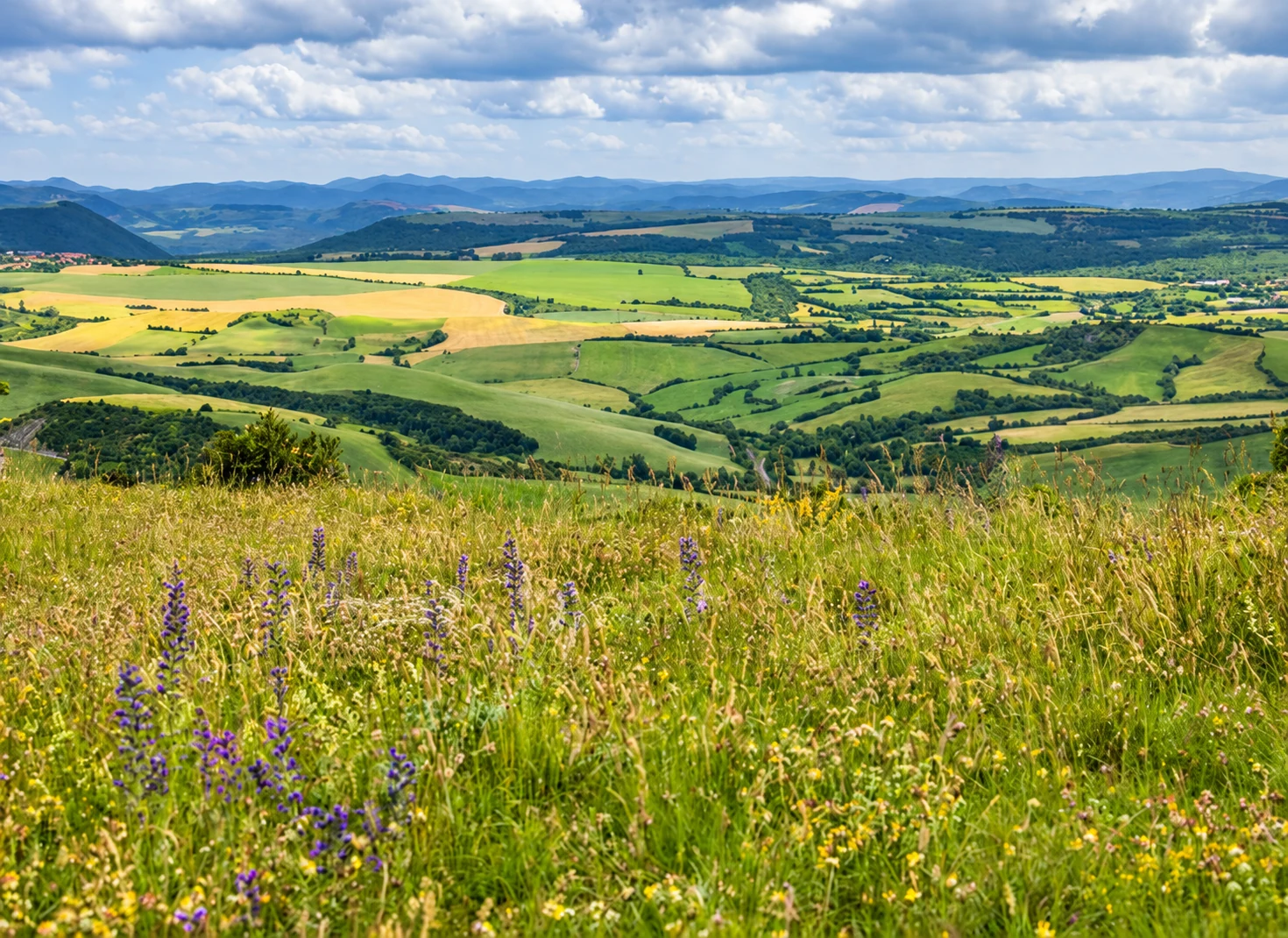 Paysage du Sud Aveyron